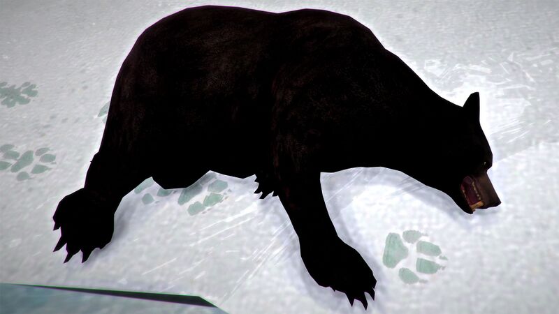 File:Black bear carcass.jpg