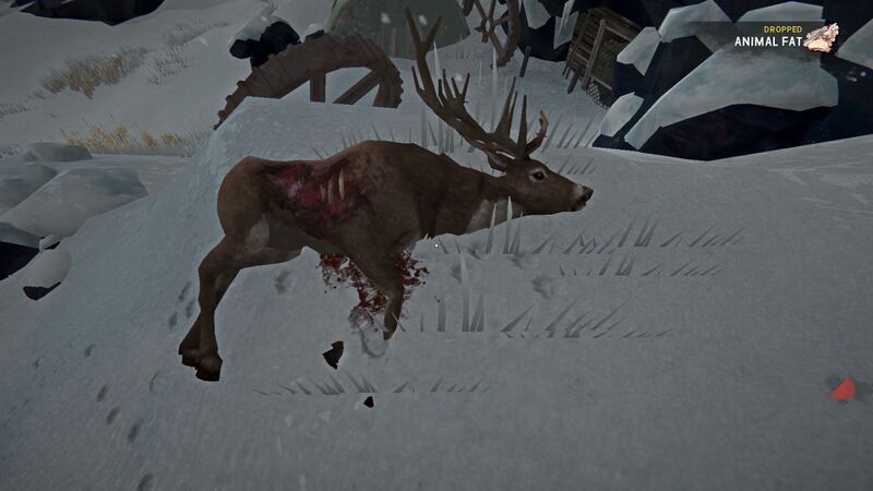 File:A Fresh Ravaged Deer.jpg