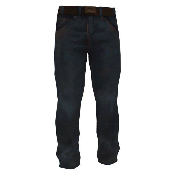 File:Jeans Model icon.png