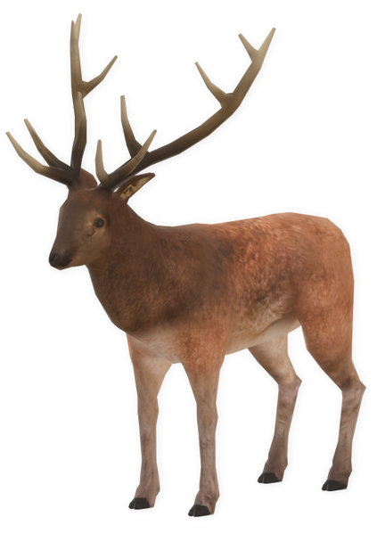File:Deer (old).png