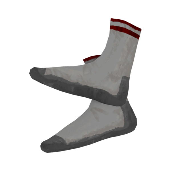 File:Sports Socks Model icon.png